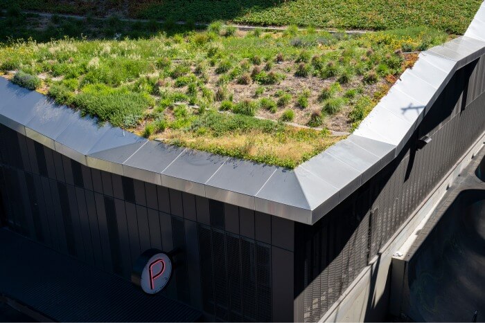 Extensive Green Roof System