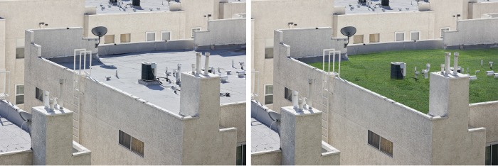 Selecting Site For Installation Of Green Roofs